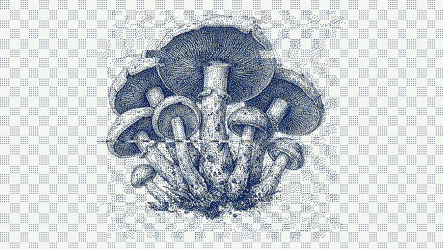 mushroom