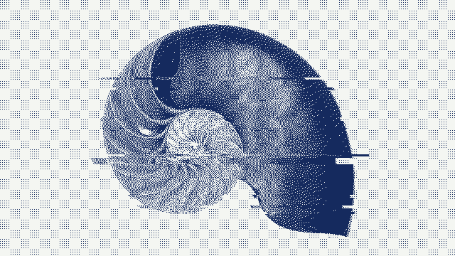 nautilo