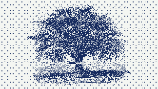 tree